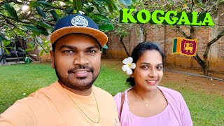 Trip to Koggala Sri Lanka කොග්ගල චාරිකාව  කොග්ගල වෙරළ තීරය සුන්දර කොග්ගල ඔය සිත් නිවන පරිසරයක් [upl. by Ramedlab83]