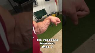 Get big forearms with this exercise nobody talks about Pt 3 samsulek forearmworkout forearms [upl. by Bridget]