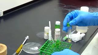 Synthesis of Phenacetin part 5 analysis of product [upl. by Kablesh218]