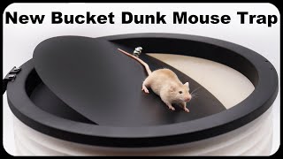 A New Bucket Dunk Mouse Trap Sold On Amazon Mousetrap Monday [upl. by Liatris]