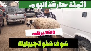 مباشر من سوق بنسودة اليوم فاس 2652024 اثمنة حولي وخروف عيد الاضحى وضروبة وجدي وحولية [upl. by Cynarra]