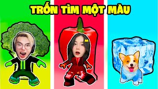 SAMMY PHONG CẬN VÀ BÉ ĐẬU TRỐN TÌM 1 MÀU SIÊU KHÓ TRONG ROBLOX [upl. by Comethuauc]