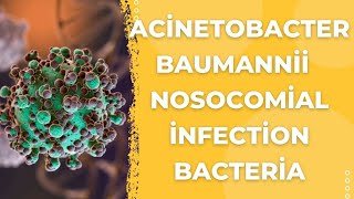 Acinetobacter Baumannii The Stealthy Superbug Menace  Healthgo [upl. by Basil]