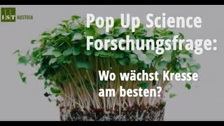 Wo wächst Kresse am besten  Where does cress grow best [upl. by Adnik]