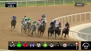 Dubai Kahayla Classic – Tilal Al Khalediah– Dubai World Cup 2024 [upl. by Aihc]