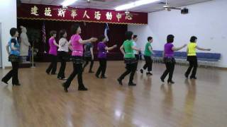 Caballero A Spanish Gentleman Line Dance Demo amp Teach [upl. by Mauro]