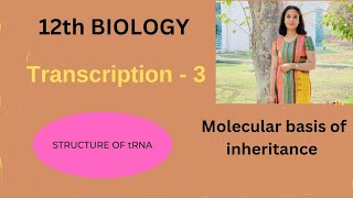 12th Biology Molecular basis of Inheritance [upl. by Arvind]