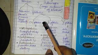 Plasma Proteins Albumin Globulin amp Fibrinogen physiology plasma protein [upl. by Hardan]