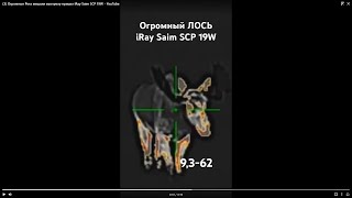 Огромные Рога мешали выстрелу прицел iRay Saim SCP 19W [upl. by Nailluj]
