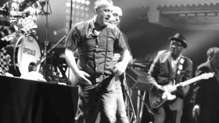 Behind the scenes with The Specials on European tour 2011 Part 2 [upl. by Ivy]