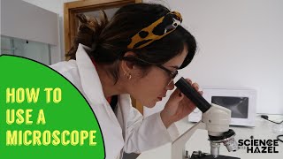 How To Use A Microscope  Biology Practicals [upl. by Arbuckle]