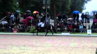 Young dressage horse Weihegold and Kira Wolferding Warendorf 2010 [upl. by Moriyama970]