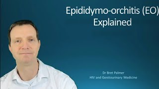 Epididymoorchitis EO explained 49 [upl. by Quinlan]