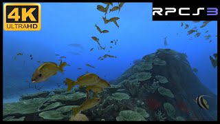 Aquanauts Holiday Hidden Memories PS3  RPCS3 Gameplay Sample 4K 60FPS [upl. by Legin]