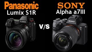 Panasonic Lumix S1R vs Sony alpha a7 iii  Quick Camera comparison [upl. by Ahsina357]