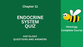 Endocrine System Quiz Questions Answers PDF  Endocrine System Class 912 Notes Ch 11 Quiz Book App [upl. by Aener]