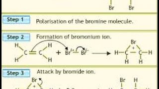 Halogenation of Alkeneits Mechanism and Stereochemistry [upl. by Nwahsar]