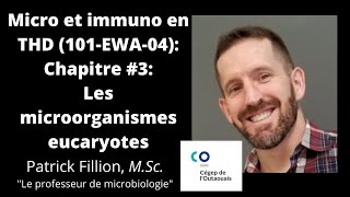 Chapitre 3 Les microorganismes eucaryotes Microbio et immunologie en milieu dentaire 101EWAHU [upl. by Lewendal]