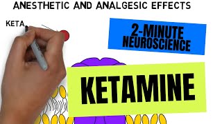 2Minute Neuroscience Ketamine [upl. by Constancia]