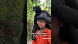 Zoo keeper plays with animal zoo animal fannyvideo funnyanimal funny [upl. by Atal]