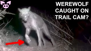 What Happens in These SCARY VIDEOS Will Terrify You [upl. by Meletius282]