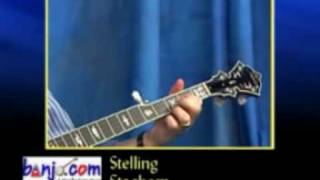 Banjocom video demo of a new Stelling Staghorn 5 String Banjo [upl. by Morel590]