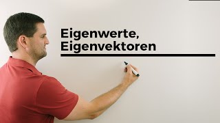 Eigenwerte Eigenvektoren Bildpunkt anschaulich Lineare Abbildungen Mathe by Daniel Jung [upl. by Amalea]