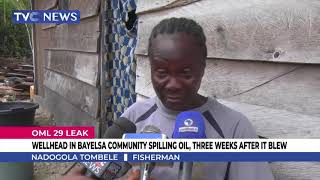 Wellhead In Bayelsa Community Spilling Oil Three Weeks After It Blew [upl. by Attwood]