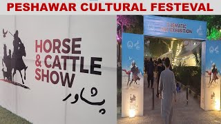 Horse amp Cattle Show 2024  Tradition Meets Creativity Peshawar Horse Cattle amp Art Show Highlights [upl. by Avid]