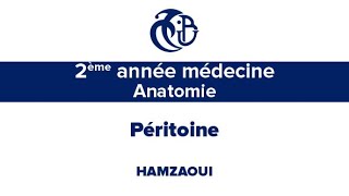 2ème année médecine Anatomie Péritoine [upl. by Nale806]