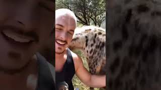 Hyena Welcome🥰 deanschneider wildlife animals hyena [upl. by Zemaj]