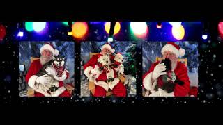 Santa Paws and Pet Pics [upl. by Mall]