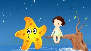 Las estrellas de mar  audio cuentos infantiles [upl. by Lowis]