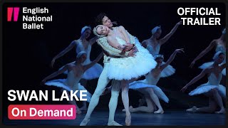 Swan Lake Trailer  English National Ballet [upl. by Spielman]