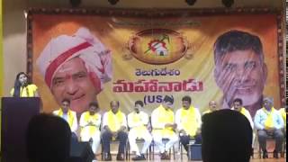 Telugu desam mahanadu in Dallas USA [upl. by Eph]