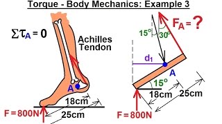 Physics 15 Torque 15 of 27 Body Mechanics Ex 3 F on Achilles Tendon [upl. by Harsho904]