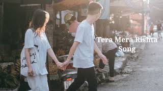 IS THIS Your Favorite Tera Mera Rishta Song New Song In Hindi 2024 [upl. by Cassandre]