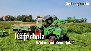 Holzlager im Sumpf  In der Not frisst der Teufel fliegen [upl. by Nilecoj]