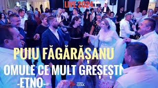 Puiu Fagarasanu🛑Omule ce mult greșești💯Live 2024 [upl. by Melise]