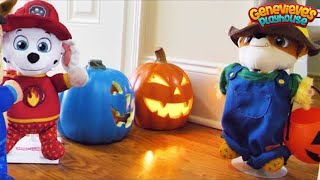 Paw Patrol Trick or Treat and Haunted House Halloween Videos for Kids [upl. by Troc349]