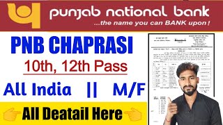 PNB बैंक मे Peon भर्ती 2024 PNB BANK VACANCY 2024PNB BANK PEON BHARTI 2024 Punjab​ National​ [upl. by Harland]