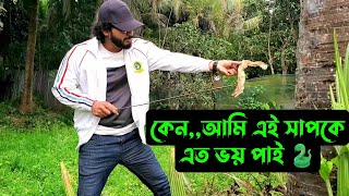 কেনআমি এই সাপকে এত ভয় পাই 🐍 [upl. by Selhorst]