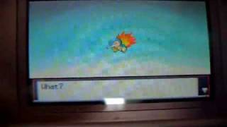 My Cyndaquil is evolving Holly Fckin St11 O [upl. by Shank]