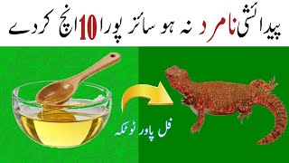 How to Use Sanda Oil  Sandy Ka Tel Ke Fayde  Sanda Oil Benefits  Sanda Oil Uses  Lizard Oil Uses [upl. by Nayrda300]