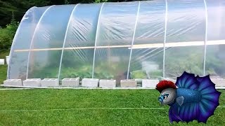 How You Can Build Your Own DIY Hoop House By Yourself [upl. by Yatnuahs]