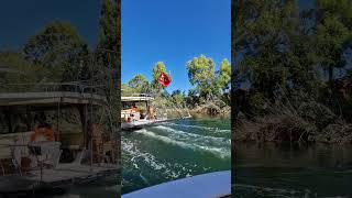 Boat trip at Dalyan river TravelwithHugoF dalyan travelturkey travelshorts [upl. by Ateloiv]