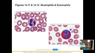 APHY 102 Blood Leukocytes and Thrombocytes [upl. by Aniahs]