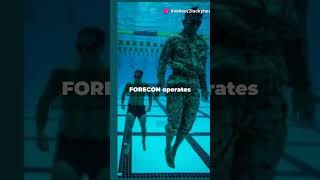 Who is Force Recon marines [upl. by Orapma]