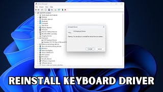 How To Reinstall Keyboard Driver In Windows 11 amp 10 [upl. by Emanuel157]