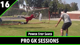 Session 16  Goalkeeper Training  Pro GK Academy [upl. by Gazo276]